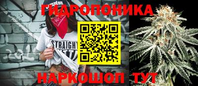 СК Наро-Фоминск